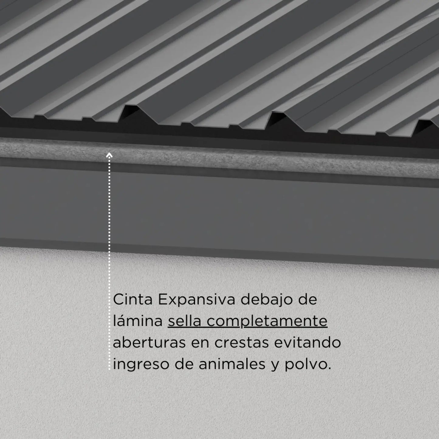 Remate Inferior Para Lámina Troquelada